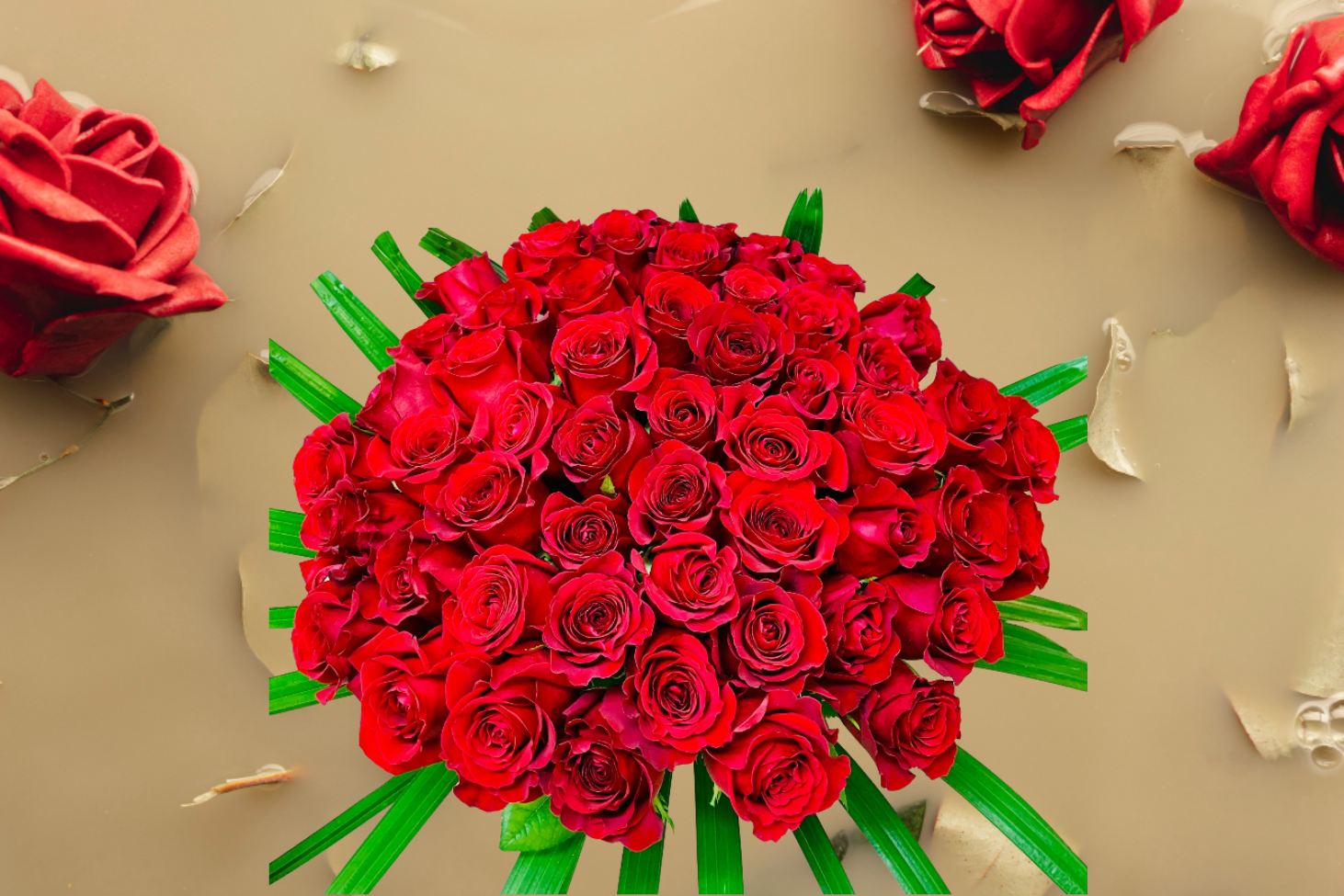 50 Red Roses