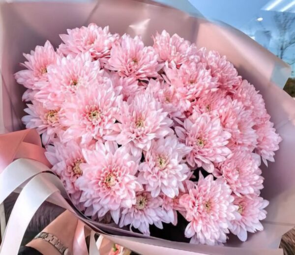 Mother's Day Chrysanthemum Mix