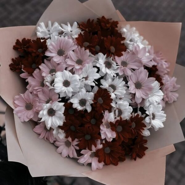 Mother's Day Chrysanthemum Mix