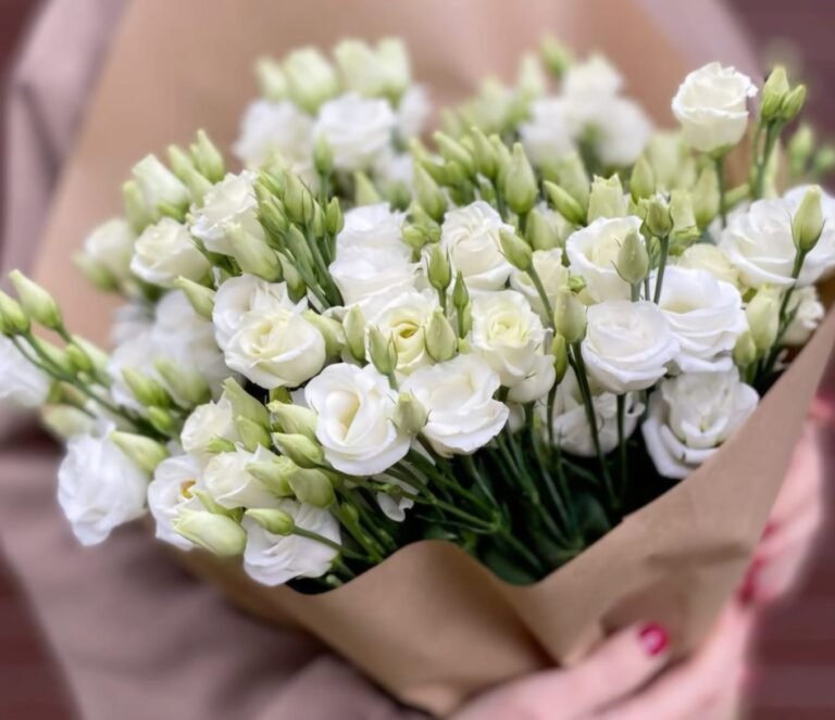 Lisianthus White
