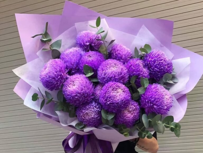 Purple Mums