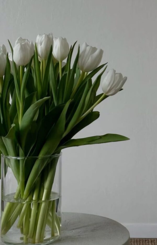 White Tulips
