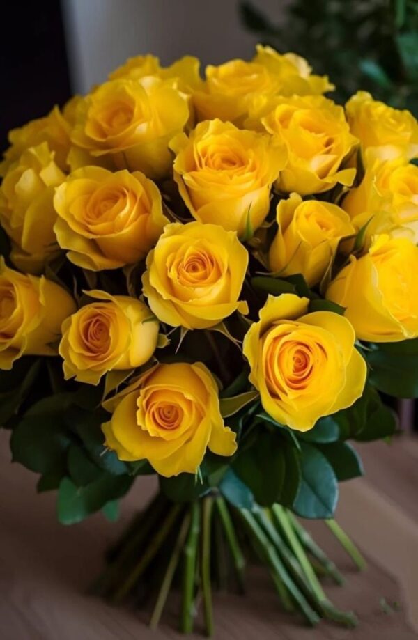 Yellow Roses